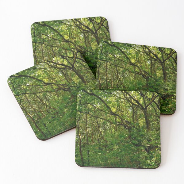 Item preview, Lush Green Forest and Ancient Woodland, Bargoed South Wales designed and sold by VnGphoto.