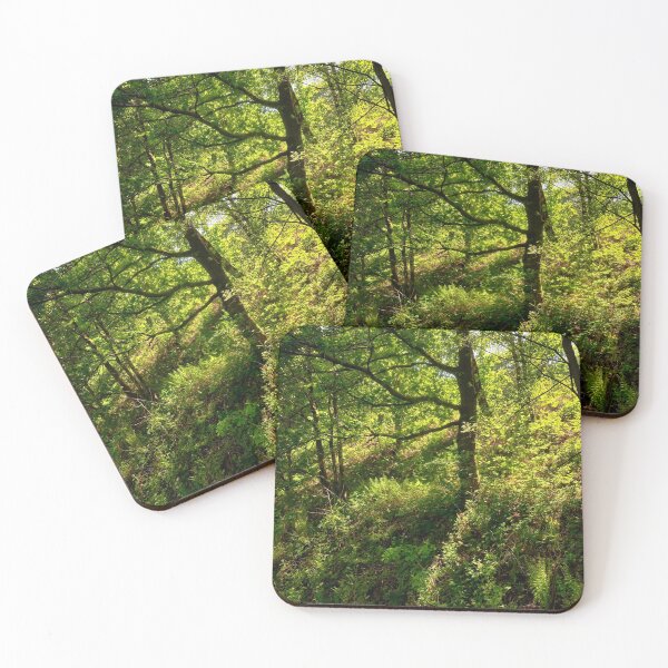 Item preview, Lush Green Forest Bargoed South Wales designed and sold by VnGphoto.