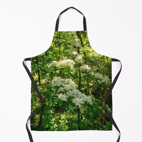 Item preview, Ancient Woodland Bargoed South Wales designed and sold by VnGphoto.