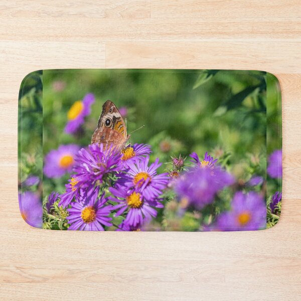 Aperçu de l'œuvre Buckeye sur Aster créée et vendue par mljdwhite.