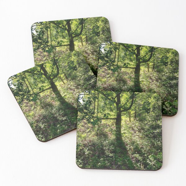 Item preview, Lush Green woodland surrounding Bargoed designed and sold by VnGphoto.