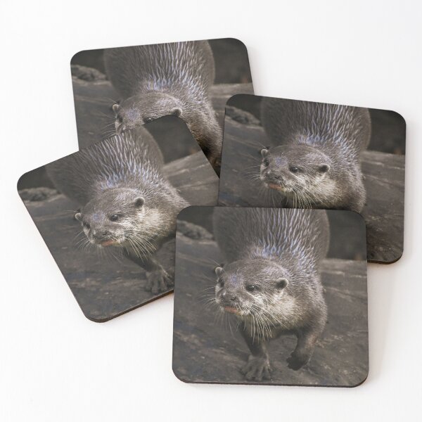 Item preview, Cute standing otter designed and sold by cdkphotos.