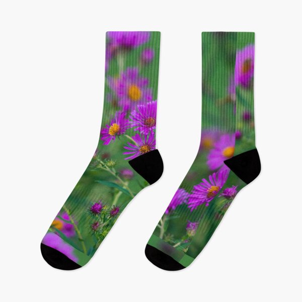Item preview, Purple Aster designed and sold by mljdwhite.
