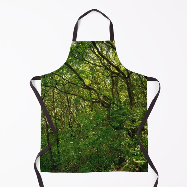 Item preview, Lush Green Forest and Ancient Woodland, Bargoed South Wales designed and sold by VnGphoto.