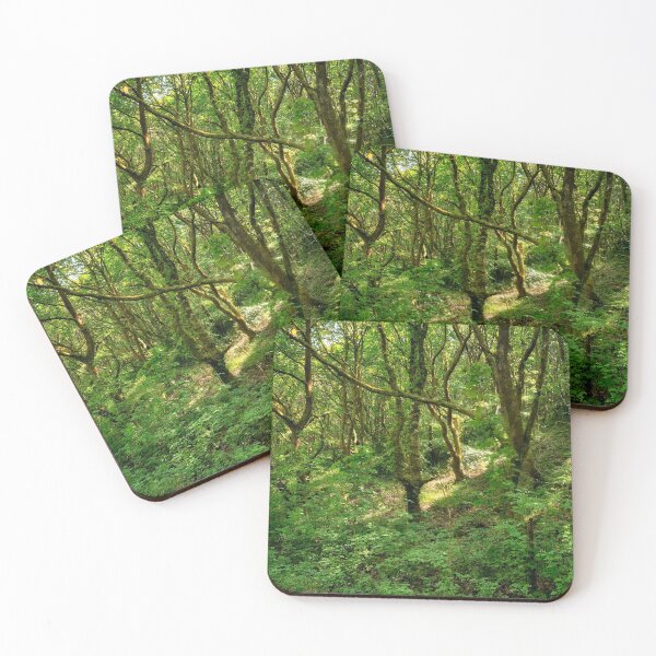 Item preview, Lush Green Forest Bargoed South Wales designed and sold by VnGphoto.