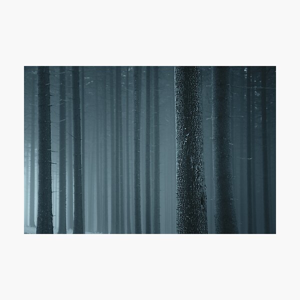 Just Detail Photographic Print