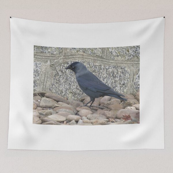 Item preview, Cornish Jackdaw designed and sold by Gingatoo.