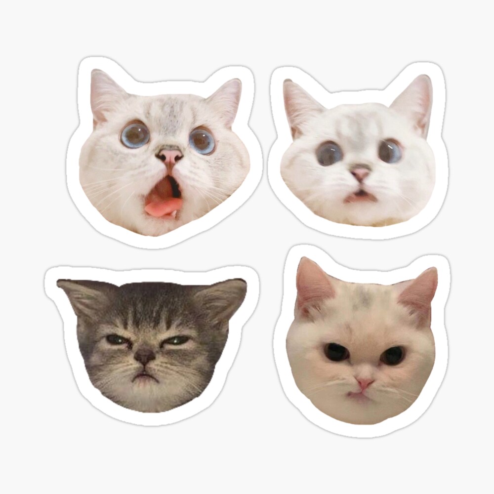 Cat Meme Faces | Cat Edit, Cat Print\