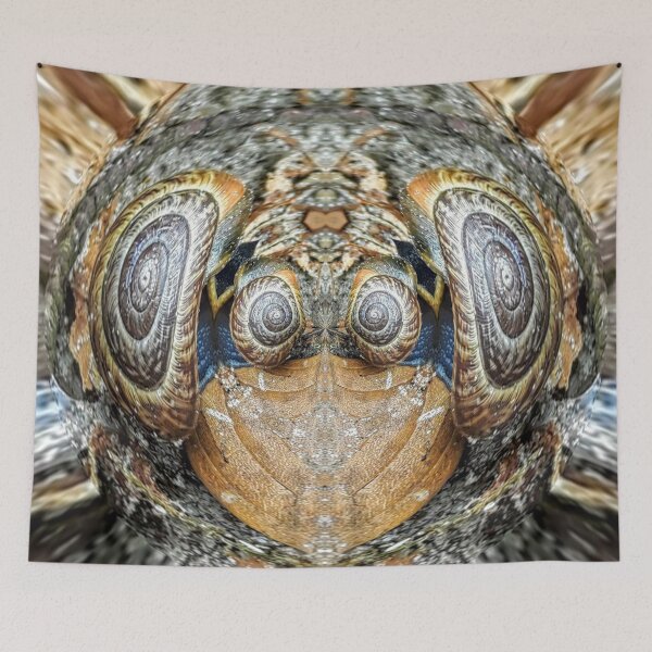 Item preview, Snail wisdom designed and sold by Ioka.