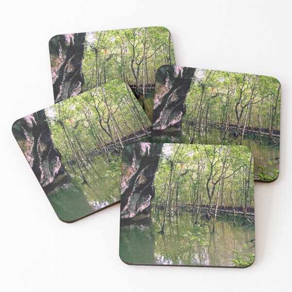 Item preview, Swamp in Langkawi, Malaysia designed and sold by GoSoloTravel.