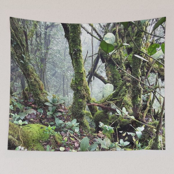 Item preview, Mossy Forest in Malaysia designed and sold by VvdVenDesign.
