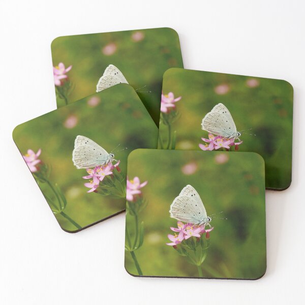 Item preview, Blue tooth wing designed and sold by NW-Photo-Art.