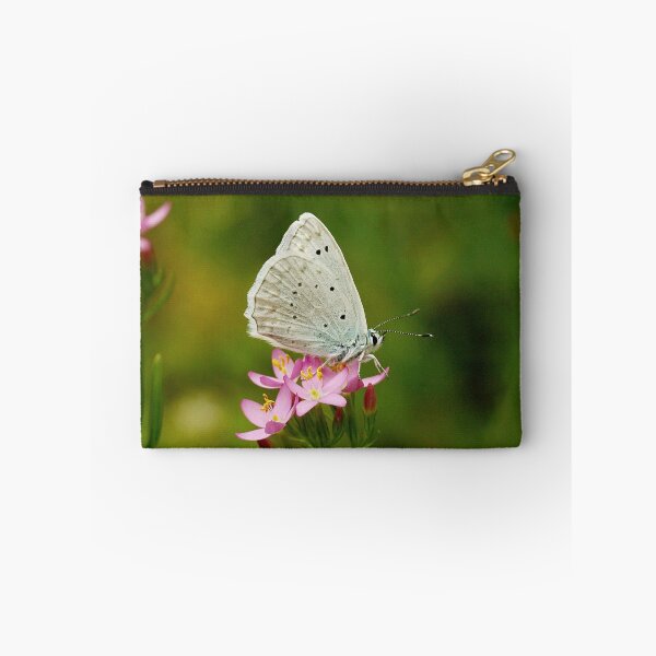 Item preview, Blue tooth wing designed and sold by NW-Photo-Art.