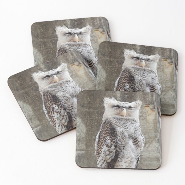 Item preview, The Sleepy Owly designed and sold by ColourfulDae.