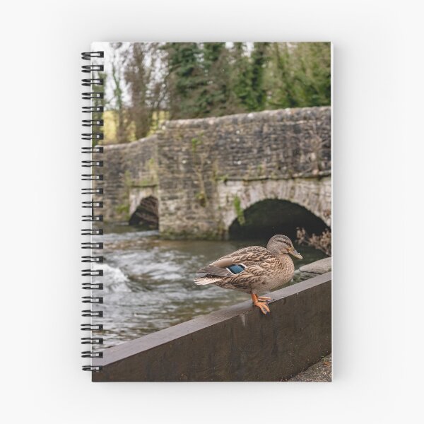 Item preview, Mallard by the River Wye designed and sold by yackers1.