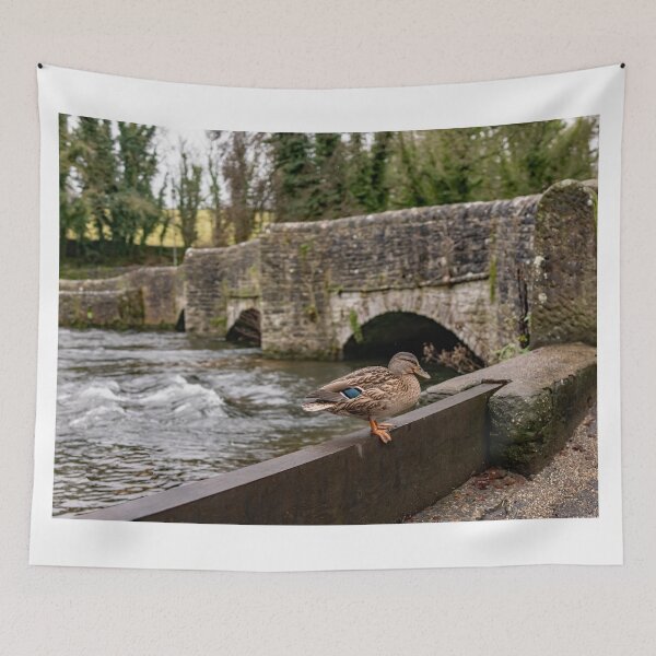 Item preview, Mallard by the River Wye designed and sold by yackers1.