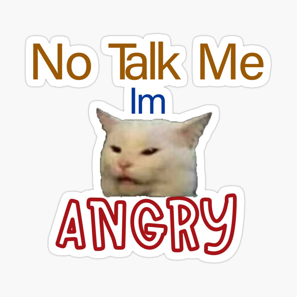 Anger Didnt Ask For Cat Meme PFP rs by smellyknickknacks on  DeviantArt