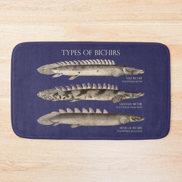 Artikelvorschau, Bichir Typen Polypterus Aqaurium Monster Fischhalter Retro Vintage Aquarist entworfen und verkauft von TheAplus.