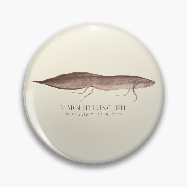 Item preview, Lungfish Protopterus Aquarium Monster Fish Keeper Retro Vintage Aquarist designed and sold by TheAplus.