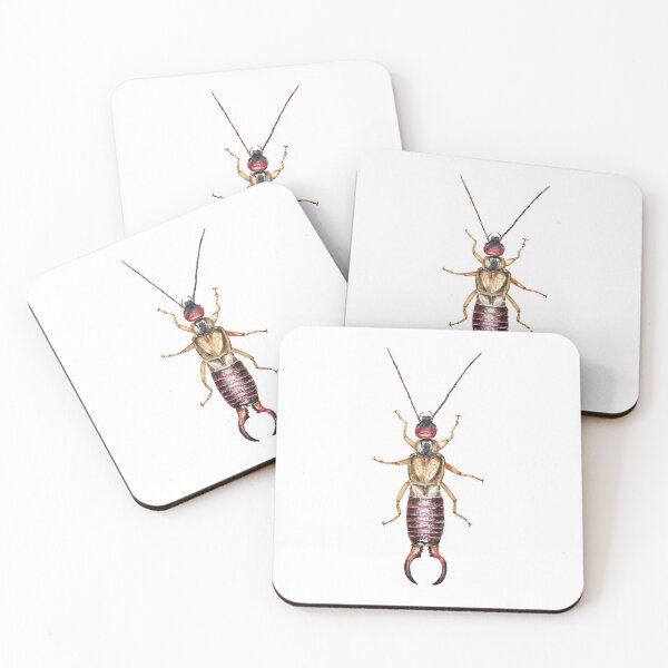 Item preview, Earwig (Forficula auricularia) designed and sold by SandraHaro.