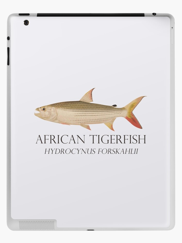 Antique Fishing Lures iPad Case & Skin for Sale by avidfan2000