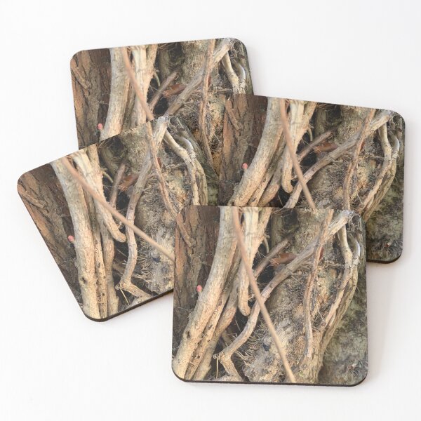 Item preview, Mother's Artwork, Nature Photograph designed and sold by Art With Impact – Statement Art & Apparel for Deep Thinkers.