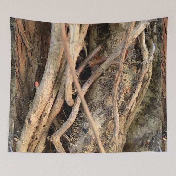 Item preview, Mother's Artwork, Nature Photograph designed and sold by Art With Impact – Statement Art & Apparel for Deep Thinkers.