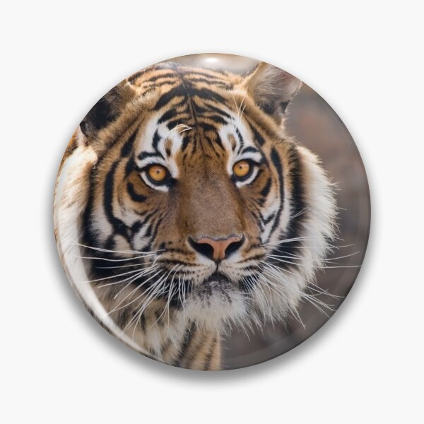 Item preview, Tiger designed and sold by Marc Scott-Parkin.