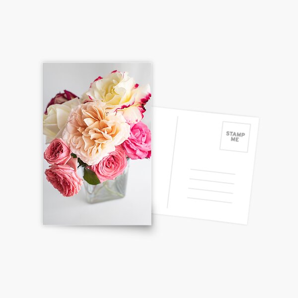 Item preview, Beautiful Blooming Pink Roses designed and sold by newburyboutique.