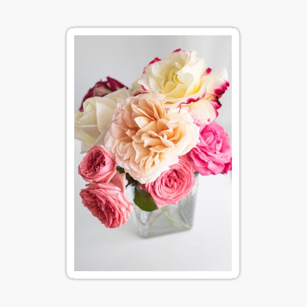 Item preview, Beautiful Blooming Pink Roses designed and sold by newburyboutique.