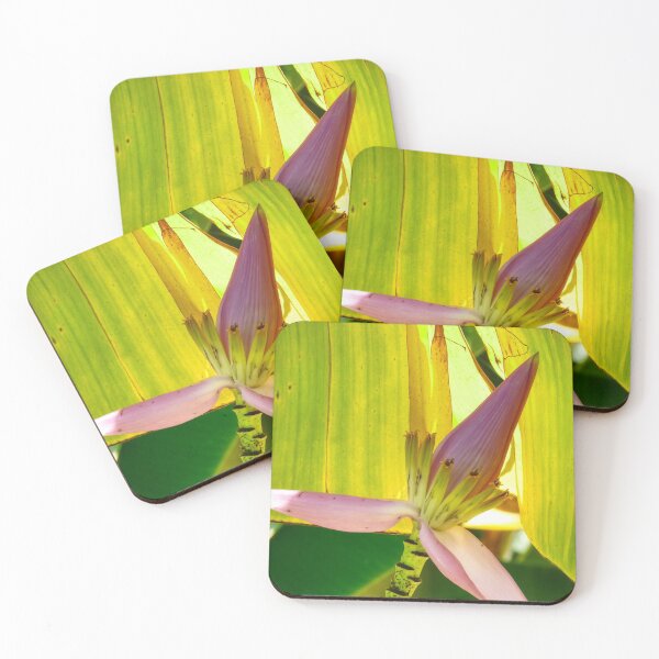 Item preview, Banana Tree Bloom designed and sold by SACRED NATURE DESIGNS.