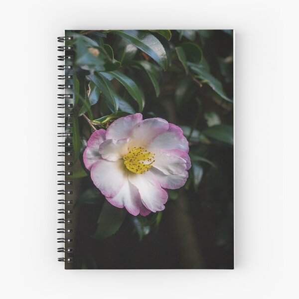 Item preview, White Camellia designed and sold by RGKphotos.
