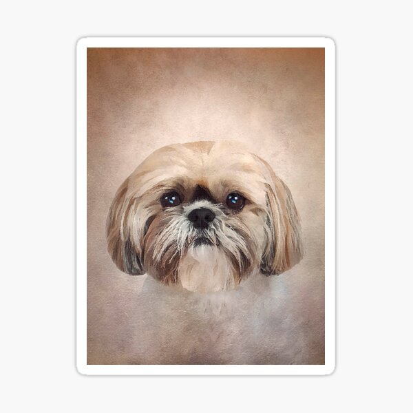 Shih Tzu dog - Art - D83 Sticker