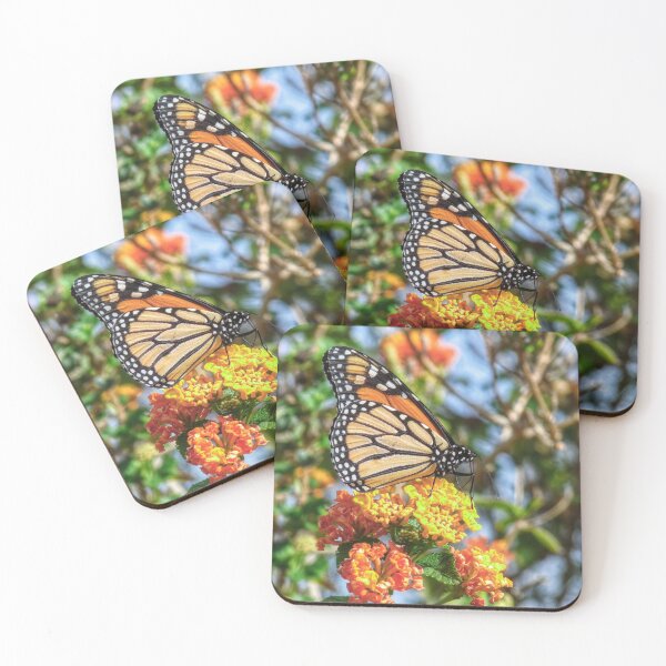 Aperçu de l'œuvre Monarch Butterfly créée et vendue par SACRED NATURE DESIGNS.