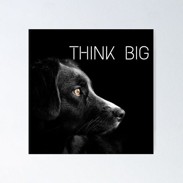 Item preview, Dog T-Shirt designed and sold by zafrani.