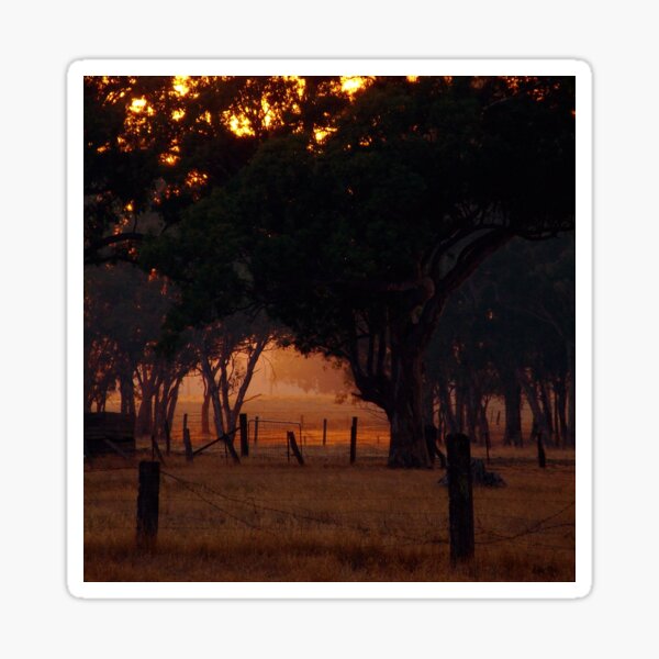Item preview, Smokey Dawn - Mt Barker, SA designed and sold by Blue Wattle Photography.