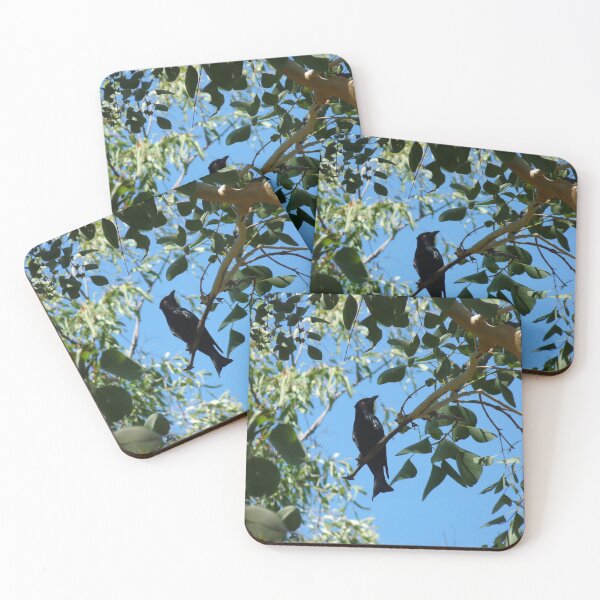 Item preview, Glossy Black Bird designed and sold by SACRED NATURE DESIGNS.