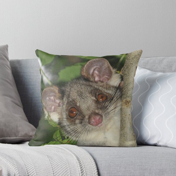 Item preview, Ring Tailed Possum designed and sold by Jenny Brice.