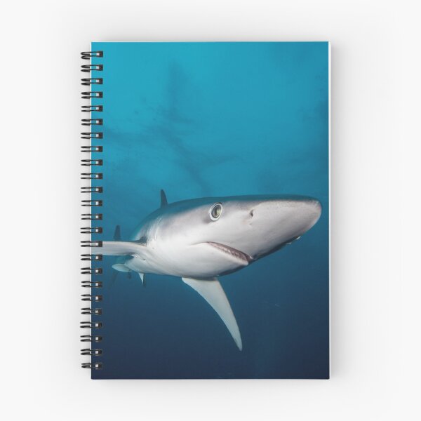 Item preview, Blue Shark, South Africa designed and sold by Erik Schlogl.