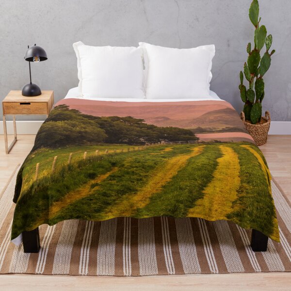 Item preview, Snowdon and Field (Portrait) designed and sold by LluniauDafyddEm.