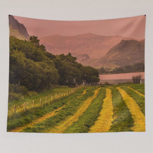 Item preview, Snowdon and Field (Portrait) designed and sold by LluniauDafyddEm.