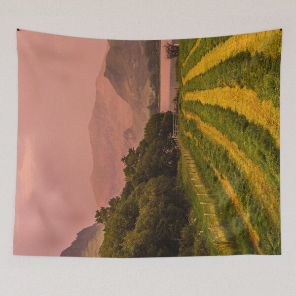 Item preview, Snowdon and Field (Landscape) designed and sold by LluniauDafyddEm.
