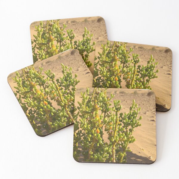Item preview, Sand plants and dunes designed and sold by Mqyou.