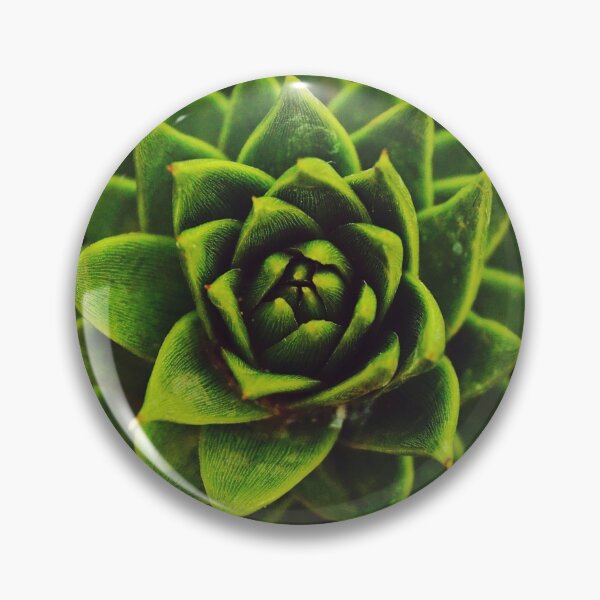 Item preview, Monkey Puzzle Succulent Plant Leaves designed and sold by CarolinaReina.