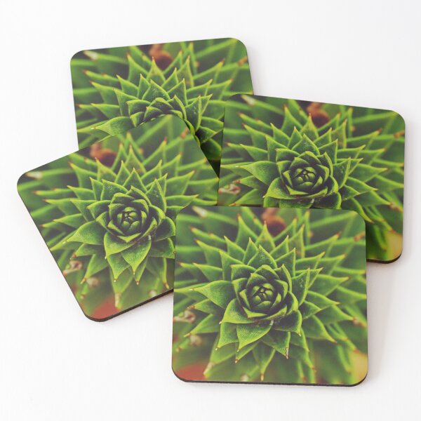 Item preview, Monkey Puzzle Succulent Plant Leaves designed and sold by CarolinaReina.