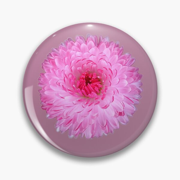 Item preview, Spring Come With Marguerite  designed and sold by ALEX PHOTO DREAMS.