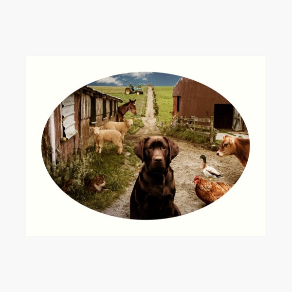 Country Life Farm Animals Art Print