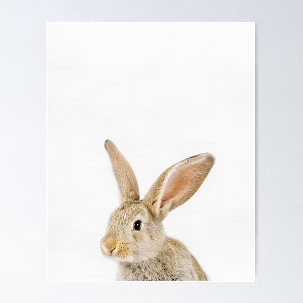 Impression artistique for Sale avec l'œuvre « Empreinte de patte de lapin »  de l'artiste ChibiCharacters