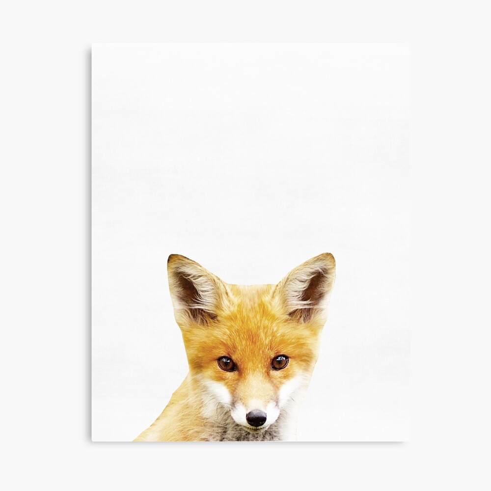 Poster Impression De Bebe Renard Chambre D Enfant Animaux Chambre D Enfants Minimaliste Art Moderne Art Mural Woodland Par Juliaemelian Redbubble