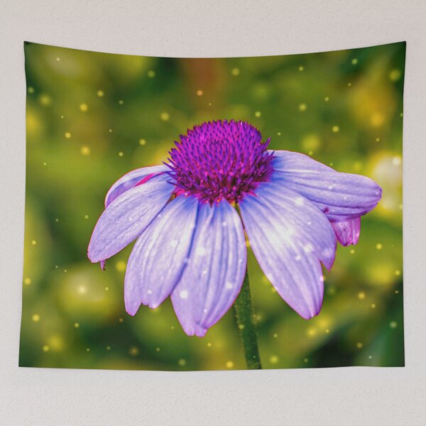 Item preview, Snow Covered Pinkish Purple Cone Flower designed and sold by NC NatureVisions.
